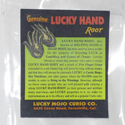 Lucky Hand or Patchouli Root Details about   Adam And Eve Root your choice 